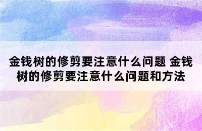 金钱树的修剪要注意什么问题 金钱树的修剪要注意什么问题和方法